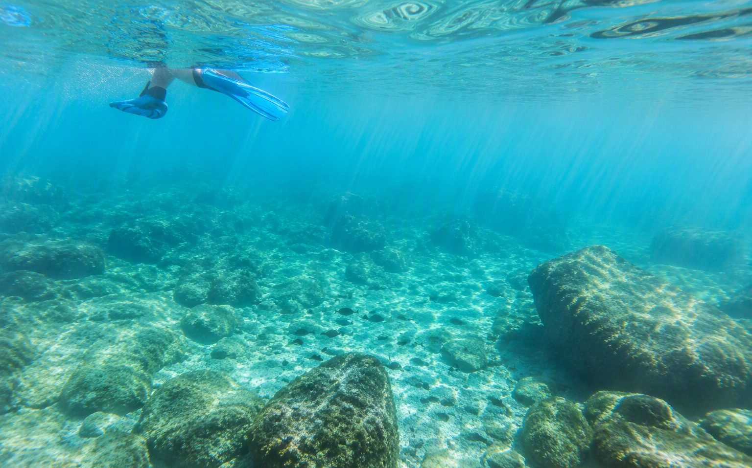 Snorkeling the Zadar Islands: Clear Water, Honest Prices